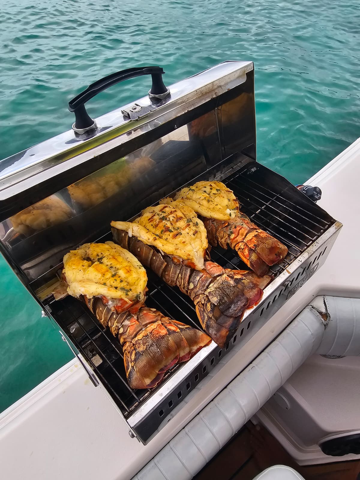 Fresh lobster tails grilled and served on board the yacht