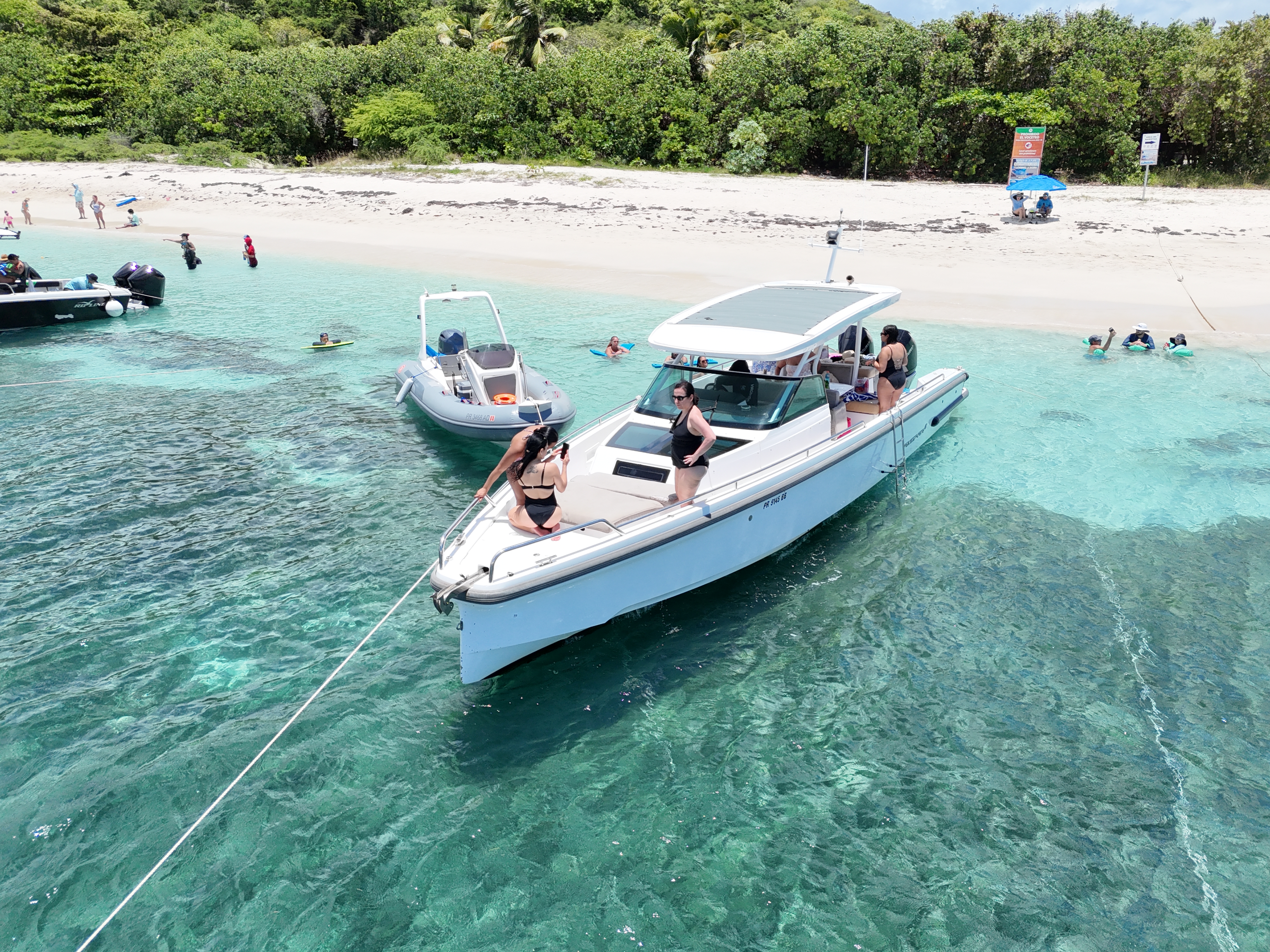 Palomino Island