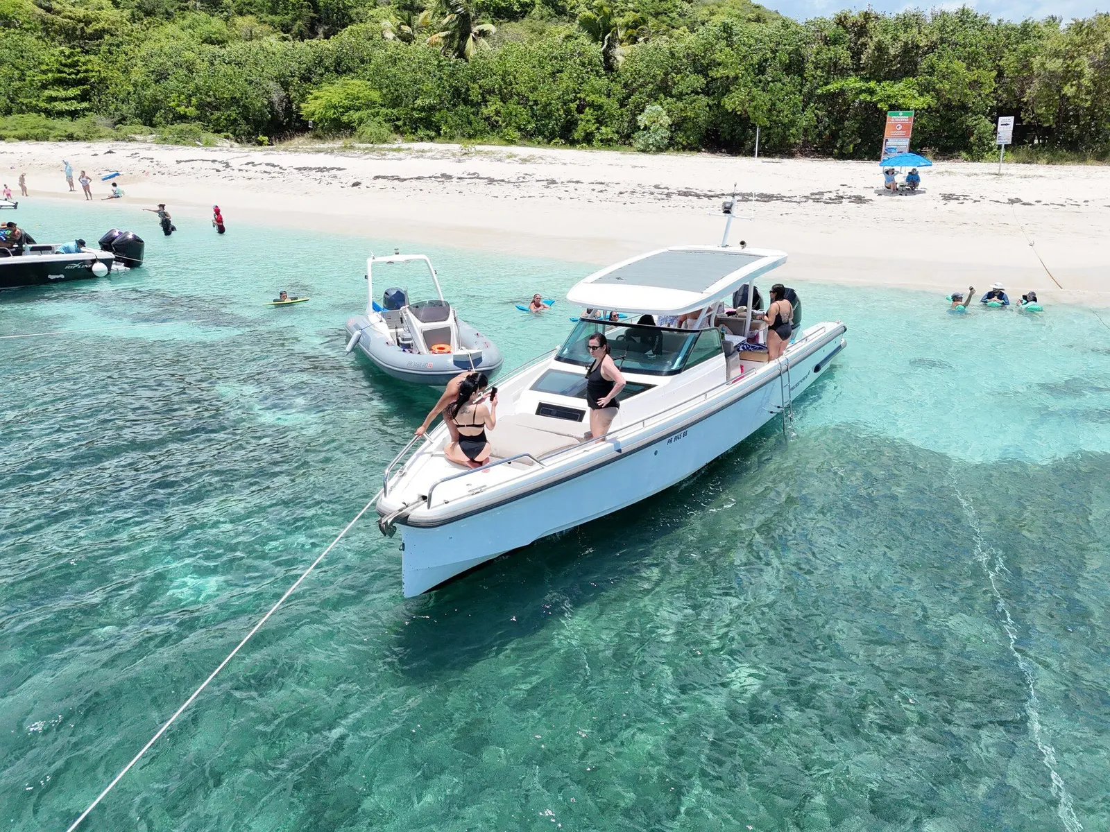 Palomino Island