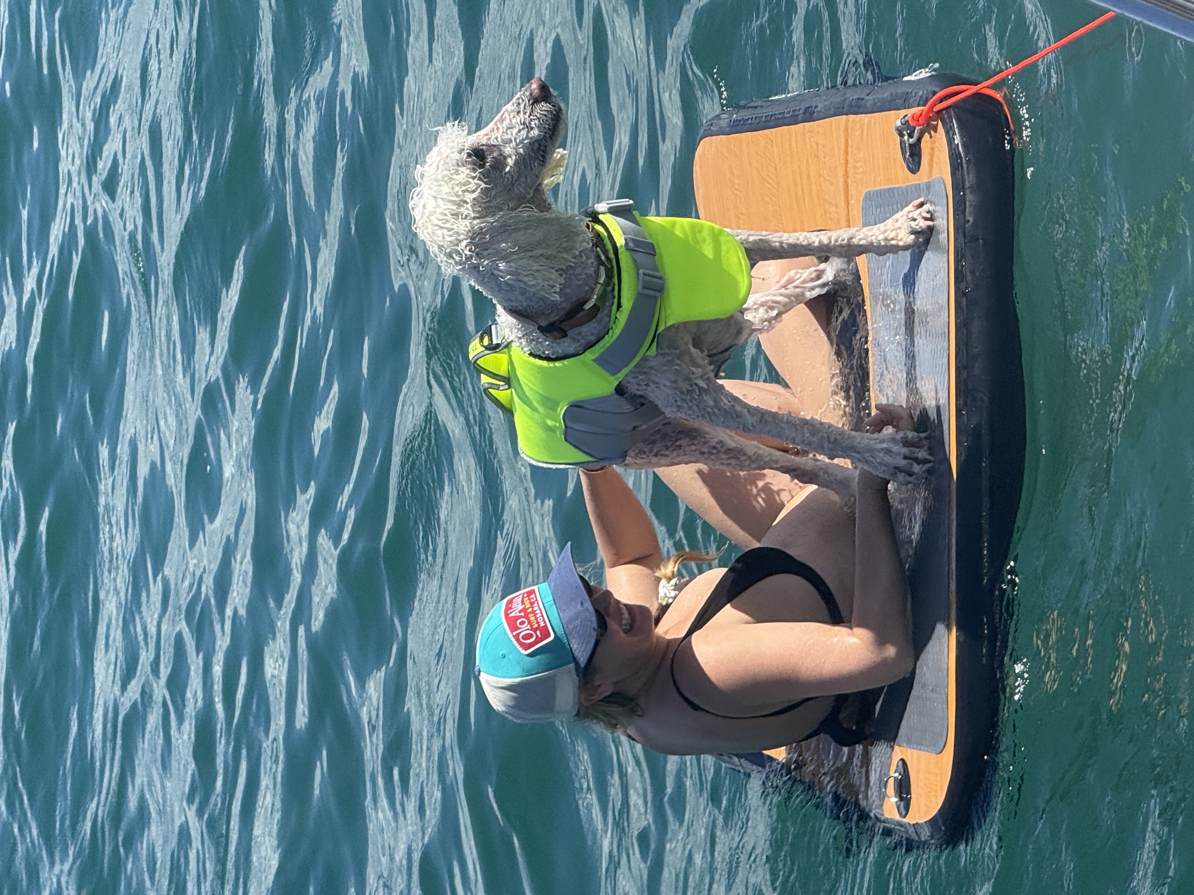 Woman in the water with dog on a pet friendly boat charter Puerto Rico