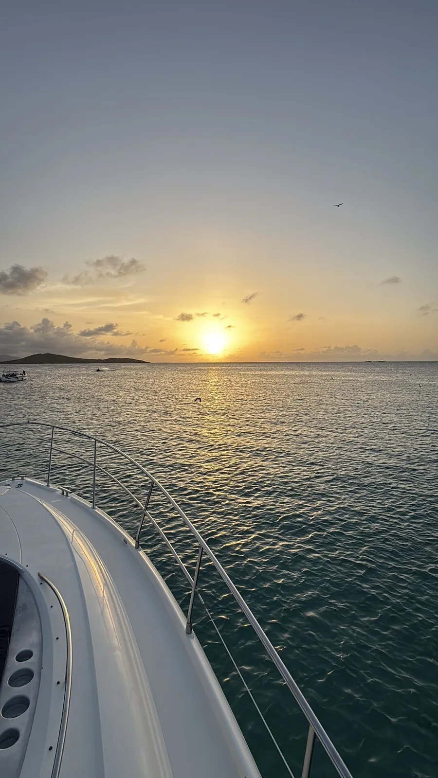 Bioluminescent bay tour Vieques Puerto Rico — Mosquito Bay at night