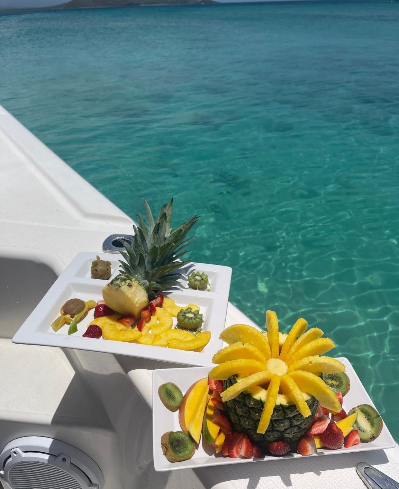 Fresh fruit platter with carved pineapple served onboard the Wellcraft 30